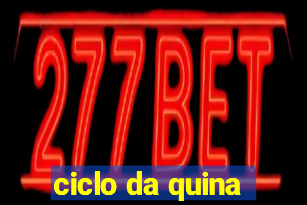 ciclo da quina